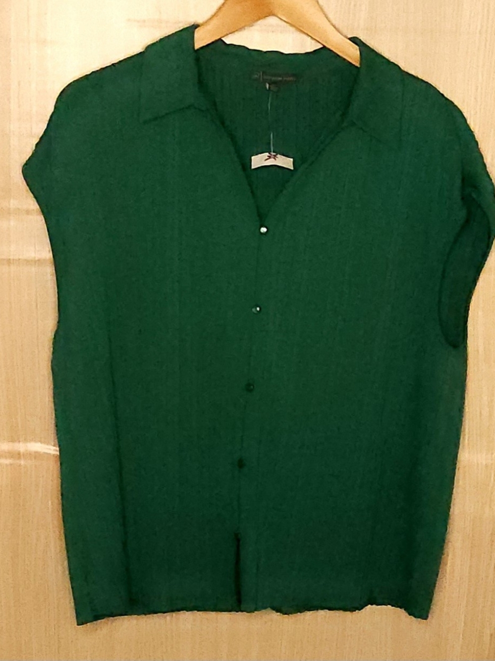 Adrianna Pappel women’s new green crepe pleated short sleeve stretchy top large.